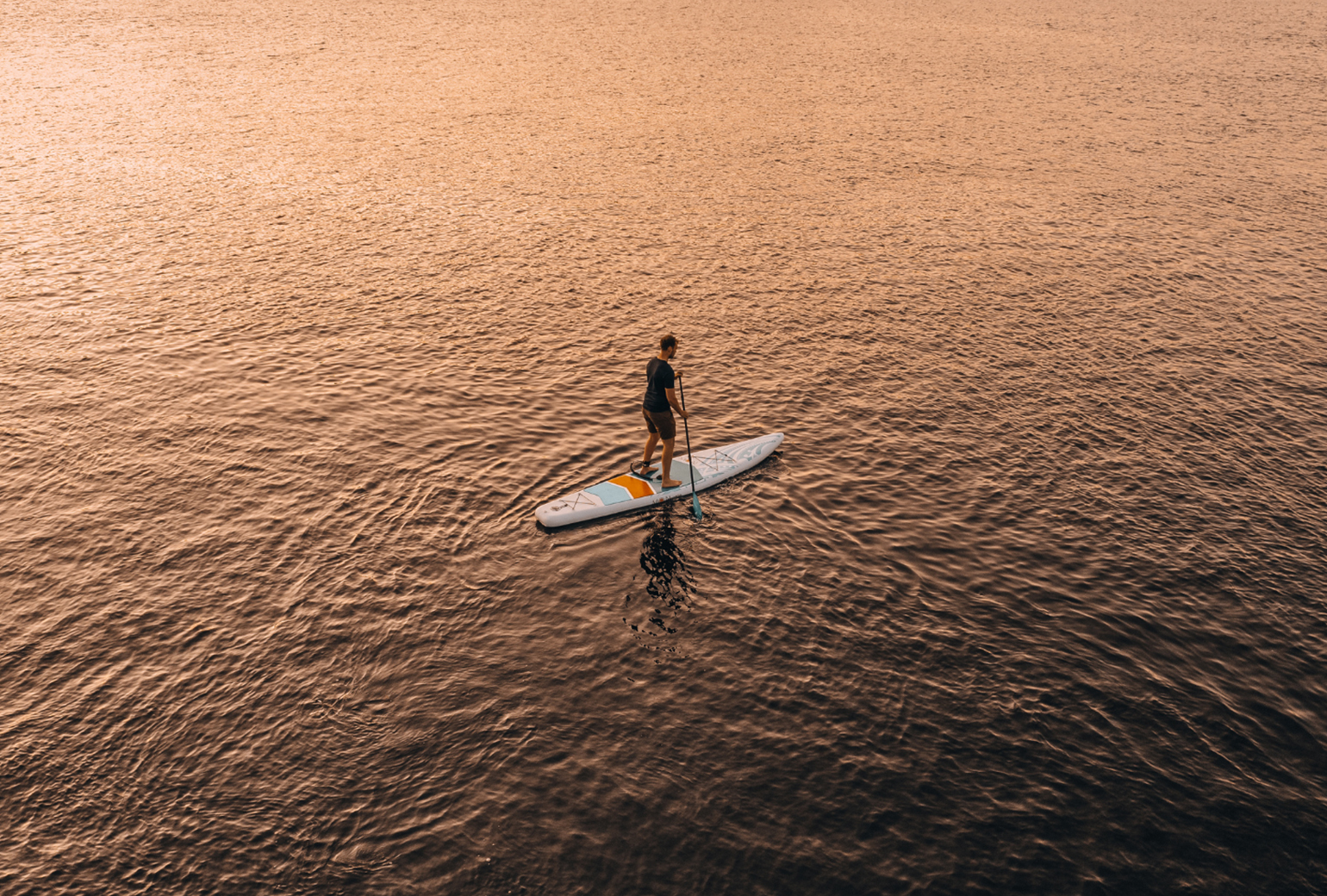 MOAI_hor_Artboard-1-copy-8